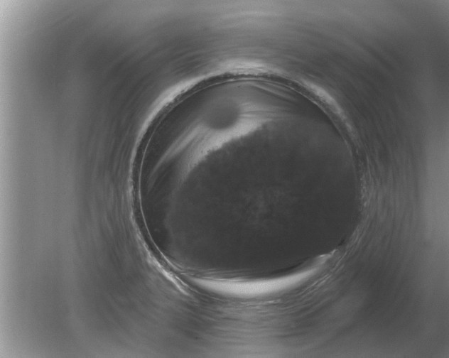 X0000080151327200612221939