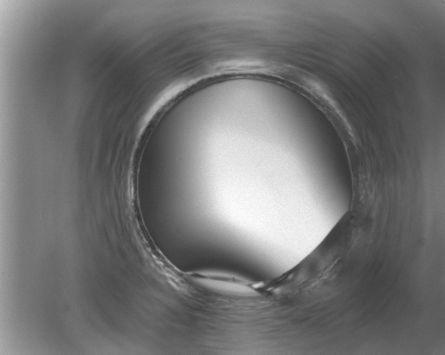 X0000080151328200612221939