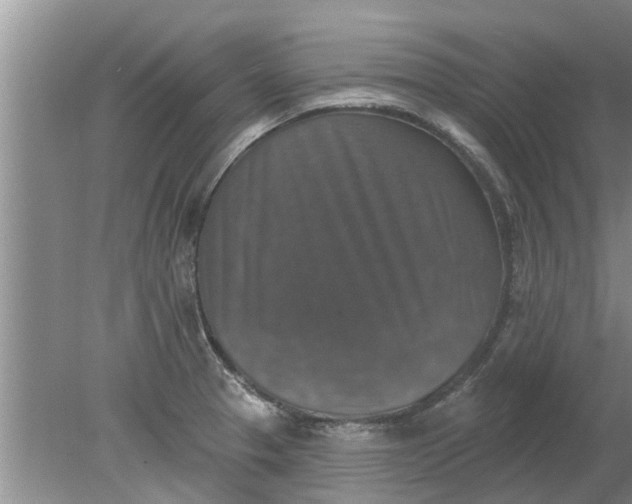 X0000080151329200612221939