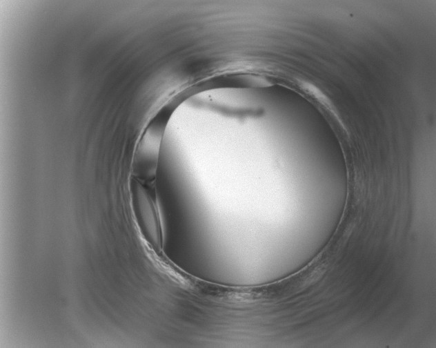 X0000080151330200612221939