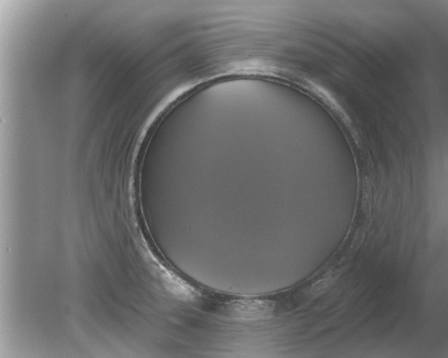 X0000080151331200612221939