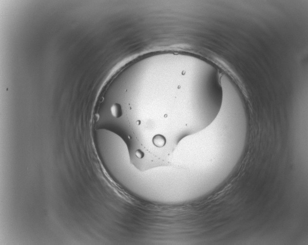 X0000080151332200612221939