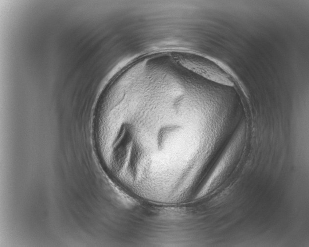 X0000080151333200612221939