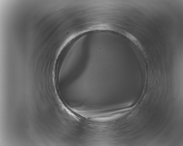 X0000080151334200612221939