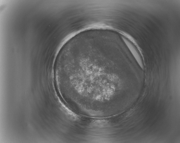 X0000080151335200612221939