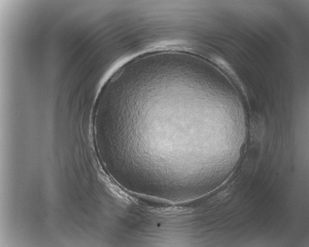 X0000080151336200612221939