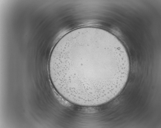 X0000080151338200612221939