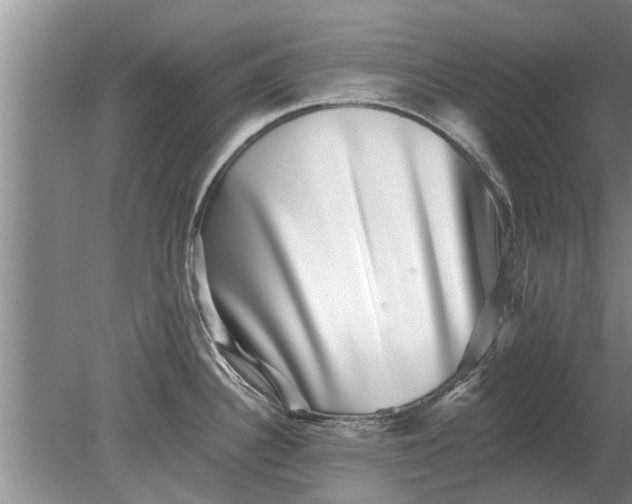 X0000080151340200612221939