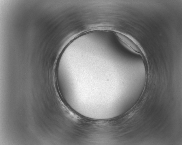 X0000080151341200612221939