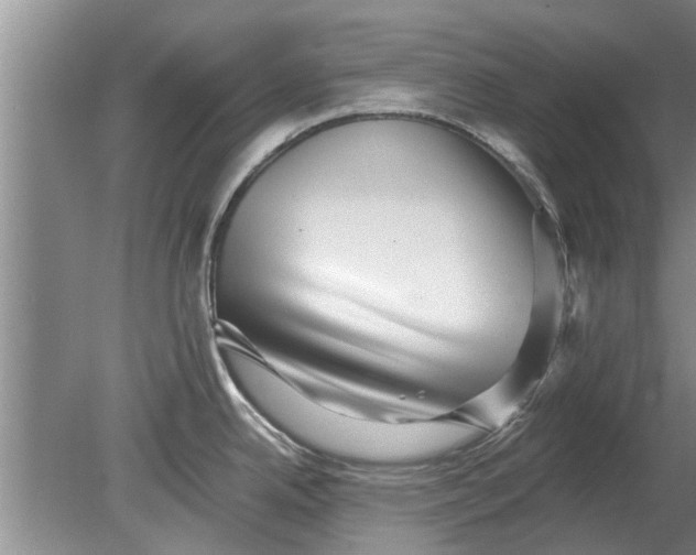 X0000080151342200612221939