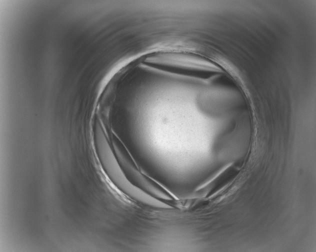 X0000080151344200612221939