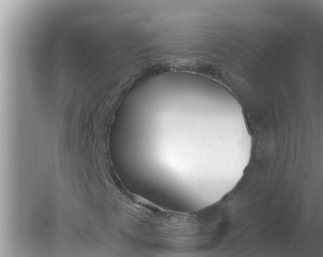 X0000080151345200612221938