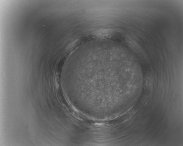 X0000080151346200612221938