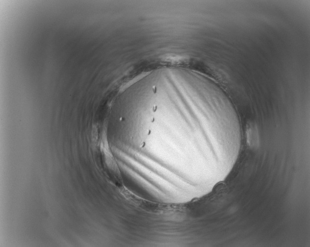 X0000080151347200612221938