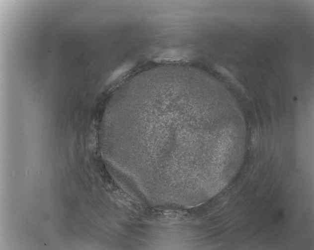 X0000080151350200612221938