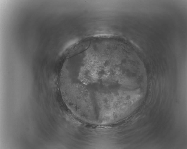 X0000080151351200612221938