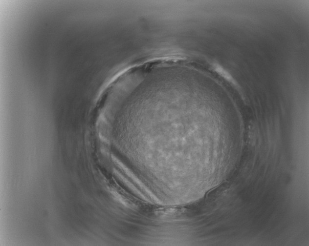 X0000080151352200612221938