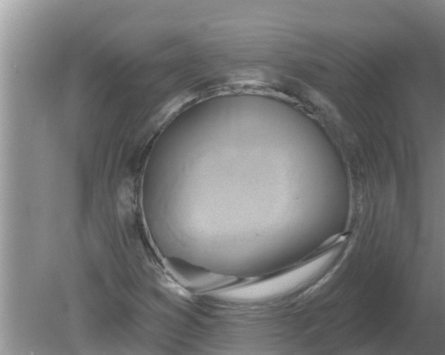 X0000080151353200612221938