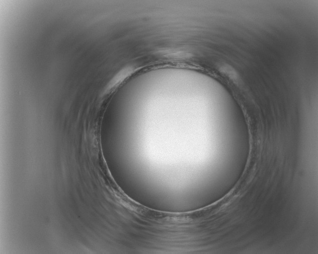 X0000080151354200612221938