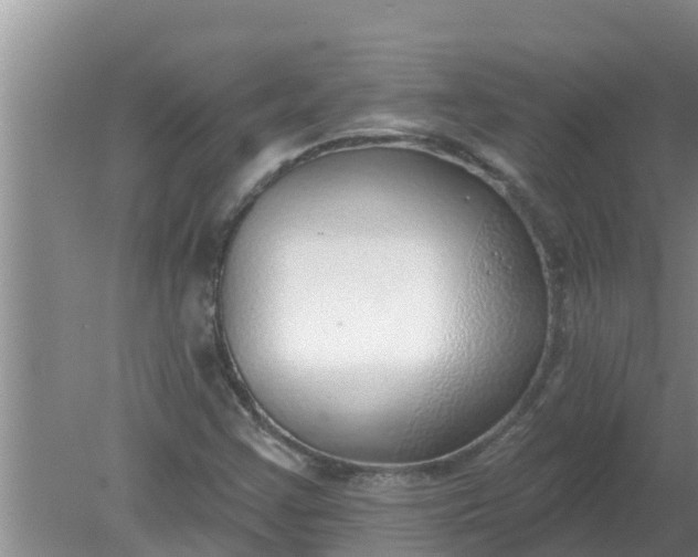 X0000080151355200612221938