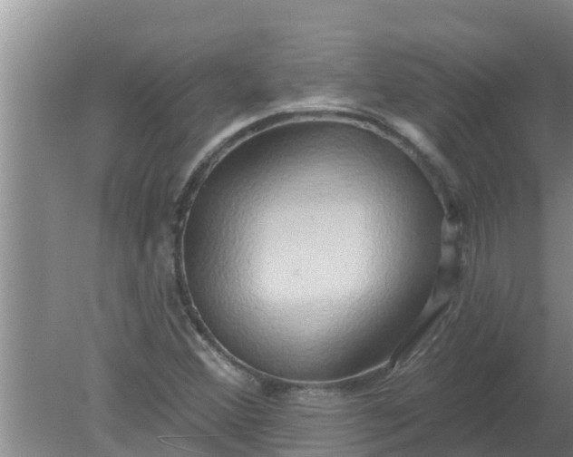 X0000080151356200612221938