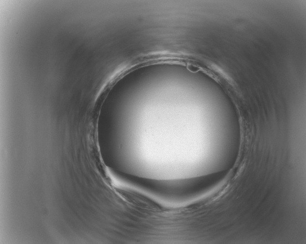 X0000080151357200612221938