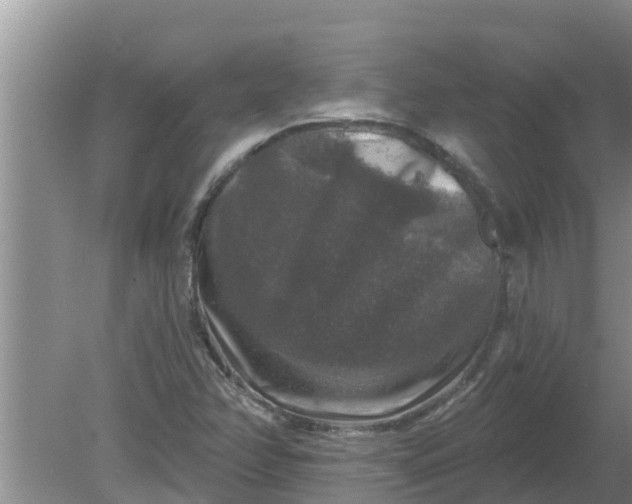 X0000080151358200612221938