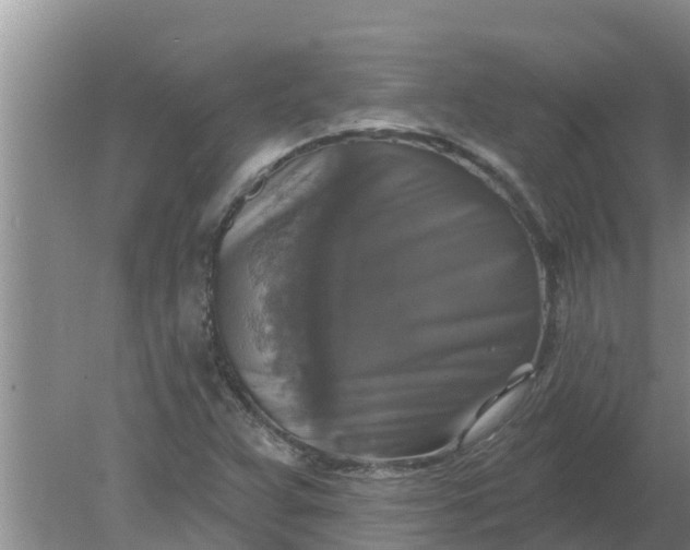 X0000080151359200612221938