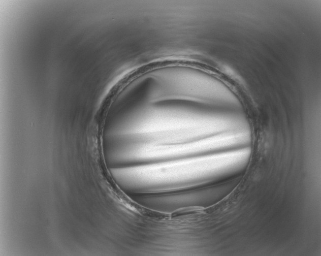 X0000080151360200612221938