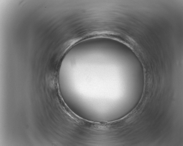 X0000080151361200612221938