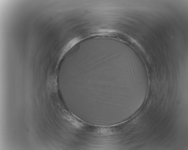 X0000080151362200612221938