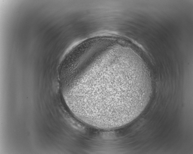 X0000080151363200612221938