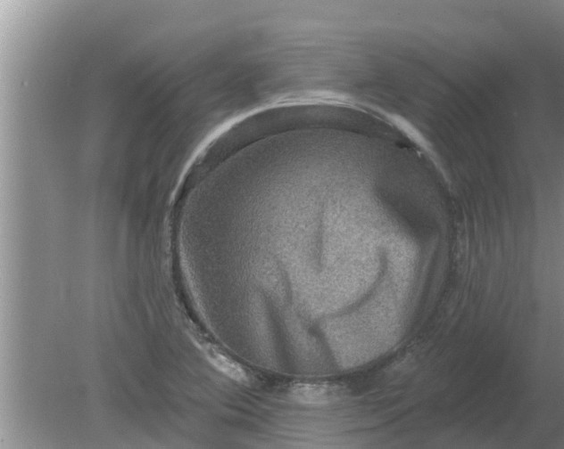 X0000080151364200612221938