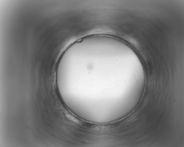 X0000080151366200612221938