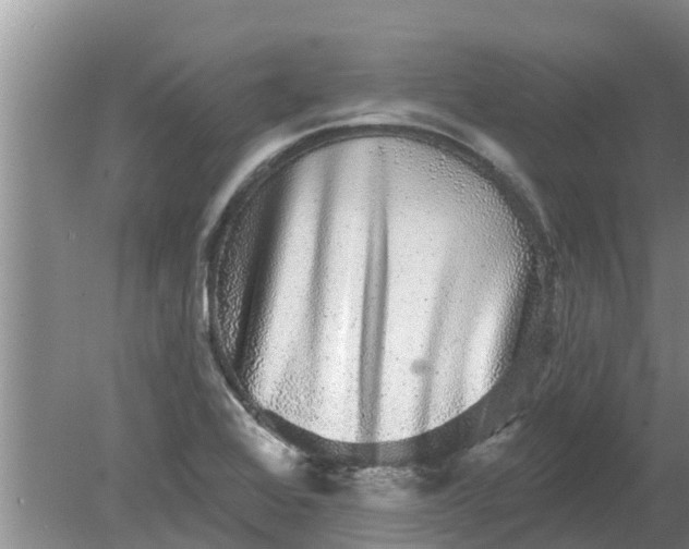 X0000080151368200612221938