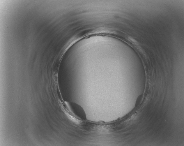 X0000080151369200612221938