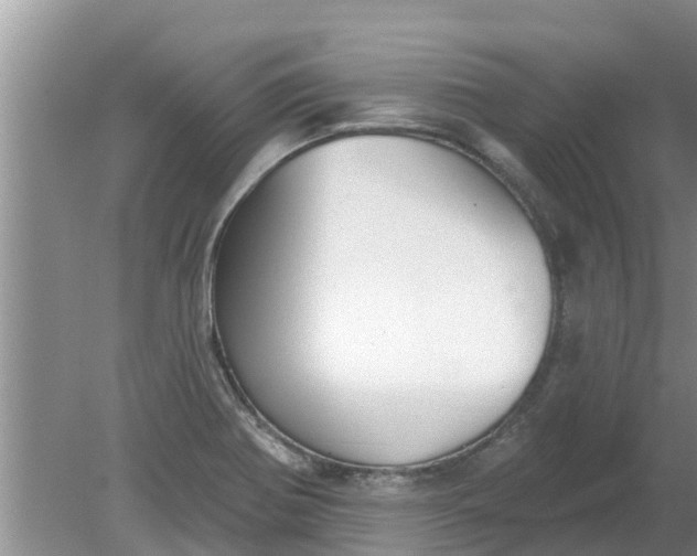 X0000080151370200612221938