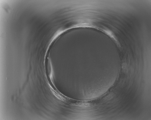 X0000080151372200612221938