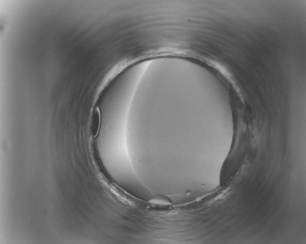 X0000080151373200612221938