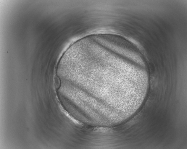 X0000080151374200612221938