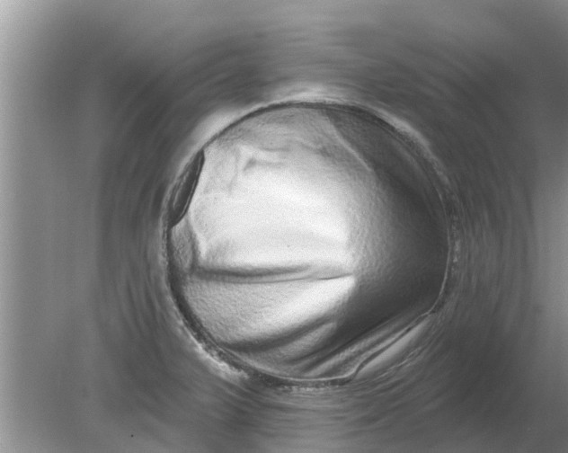 X0000080151375200612221938