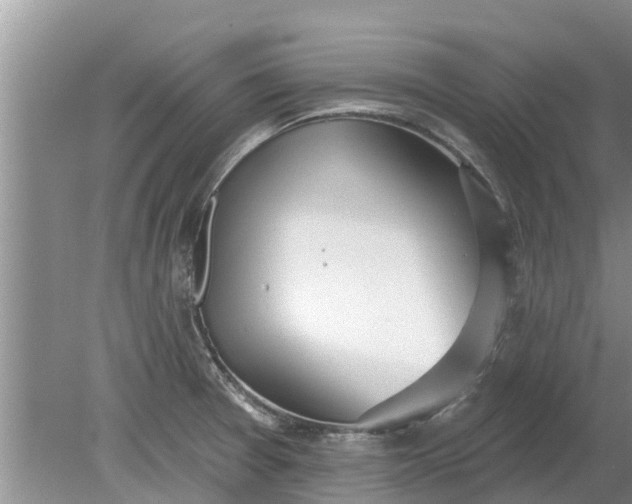 X0000080151377200612221938