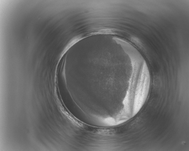 X0000080151378200612221938