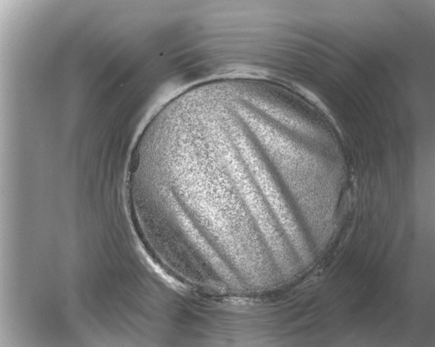 X0000080151379200612221938