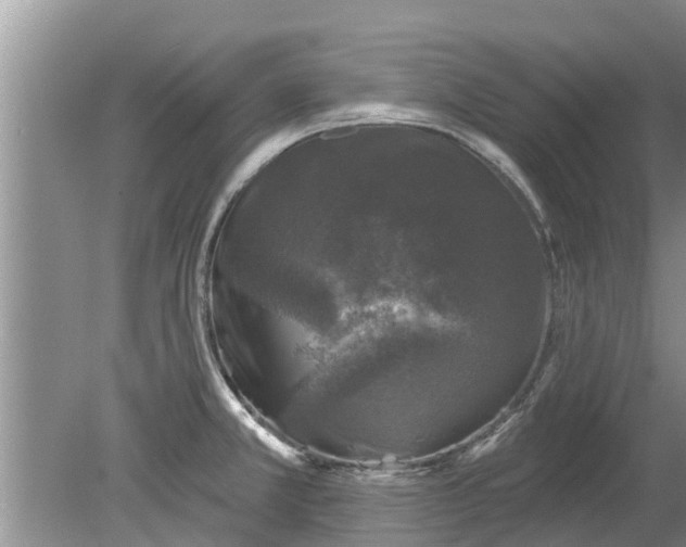 X0000080151381200612221938