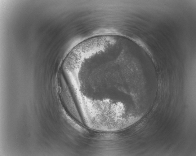 X0000080151382200612221938