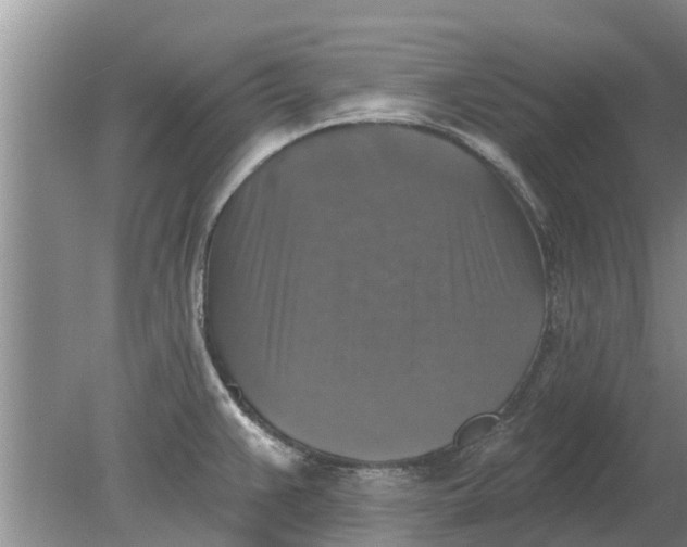 X0000080151383200612221938