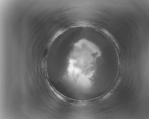 X0000080151385200612221938