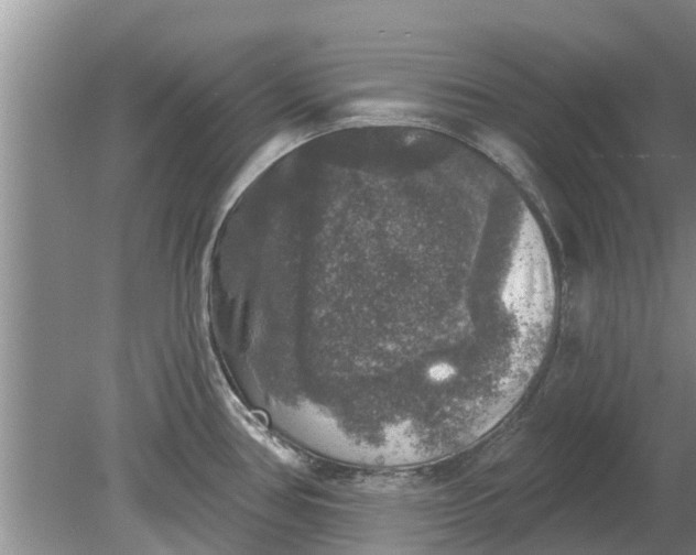 X0000080151386200612221938