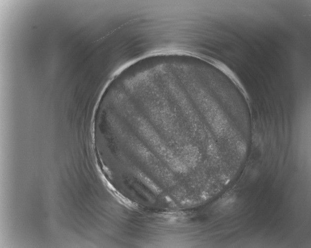 X0000080151388200612221938